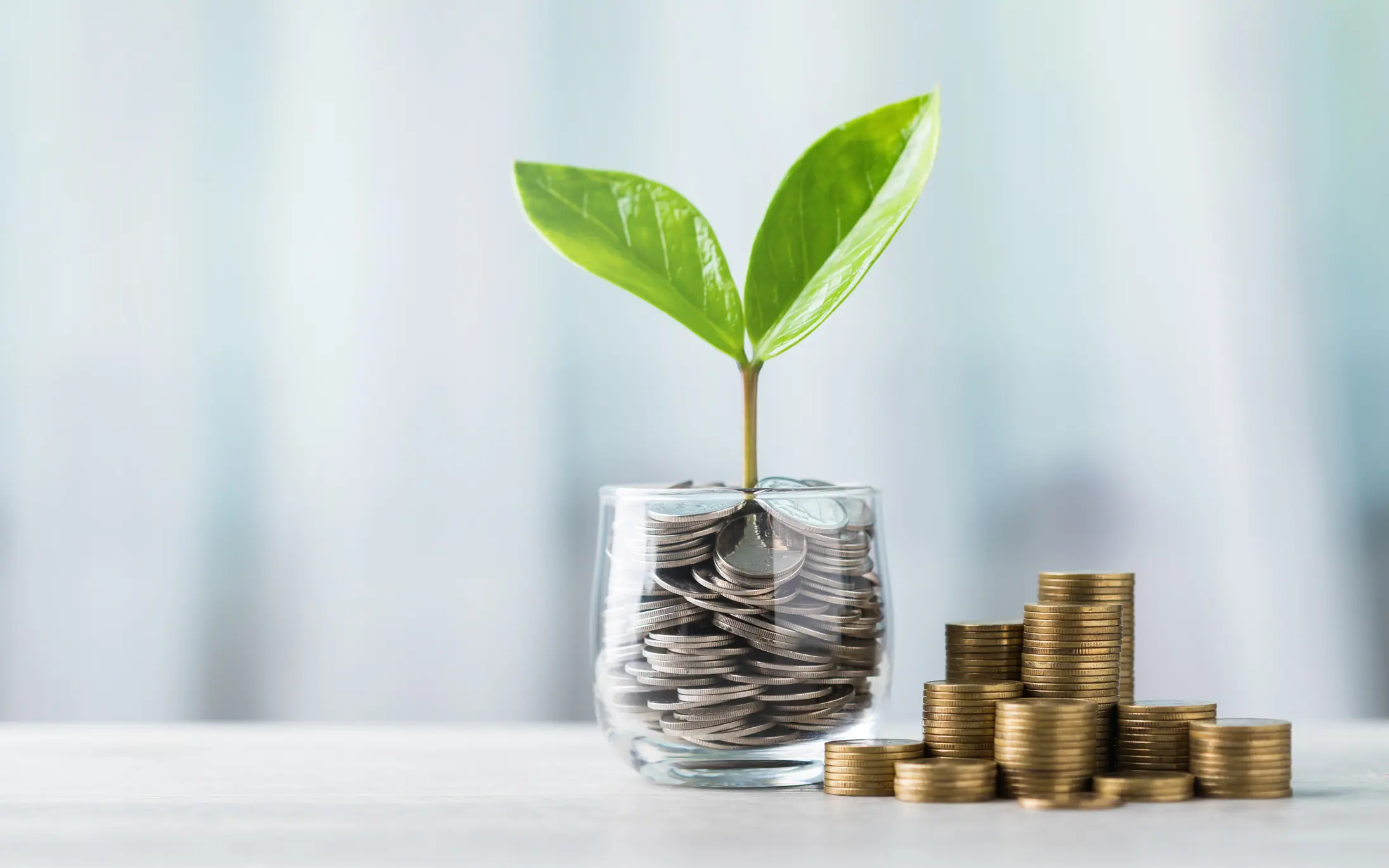 Planta y monedas