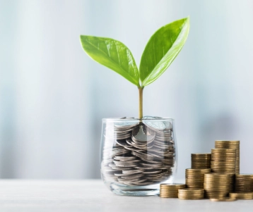 Planta y monedas